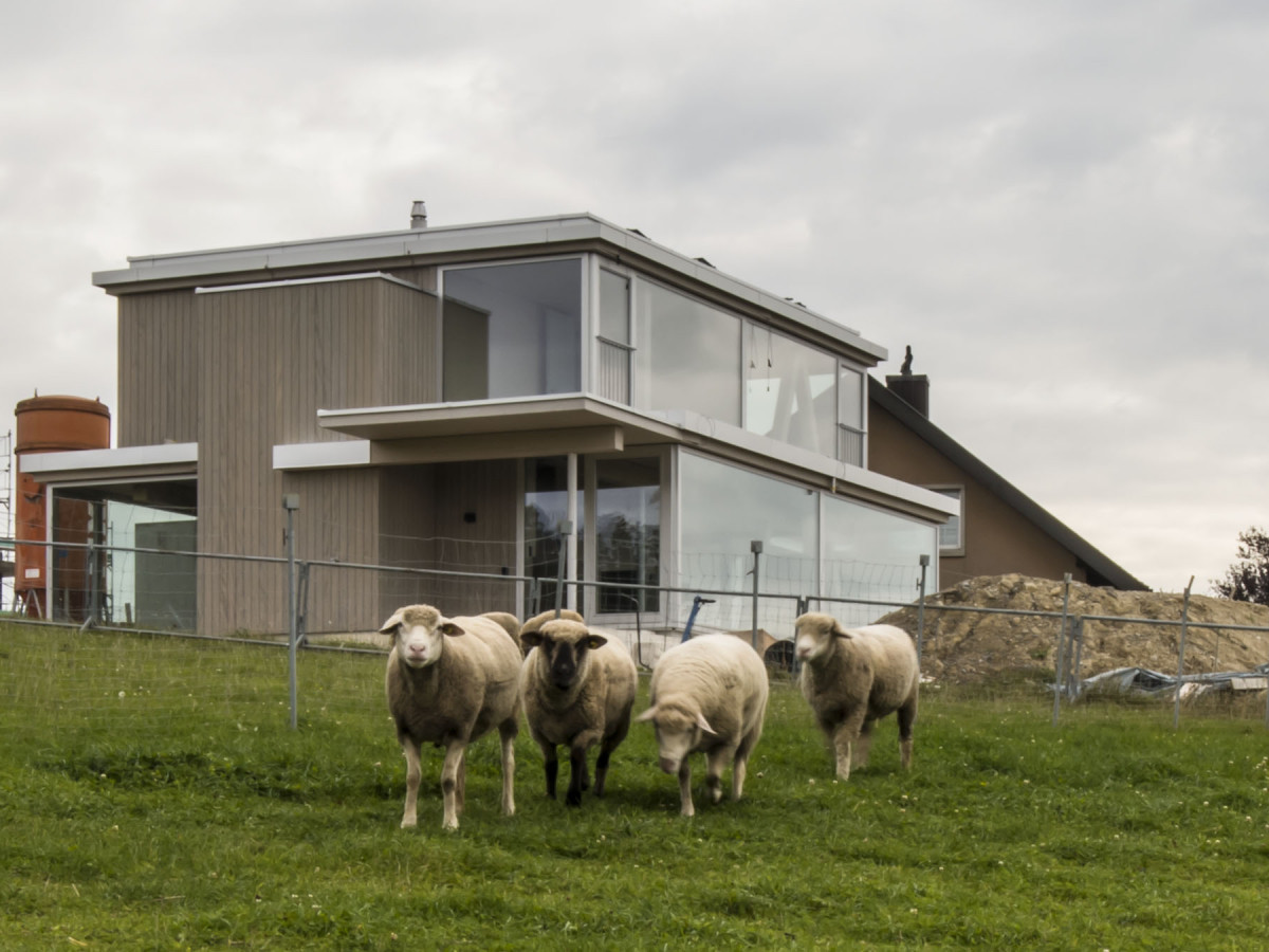 Ansicht Gebäude mit 4 Schafen im Vordergrund