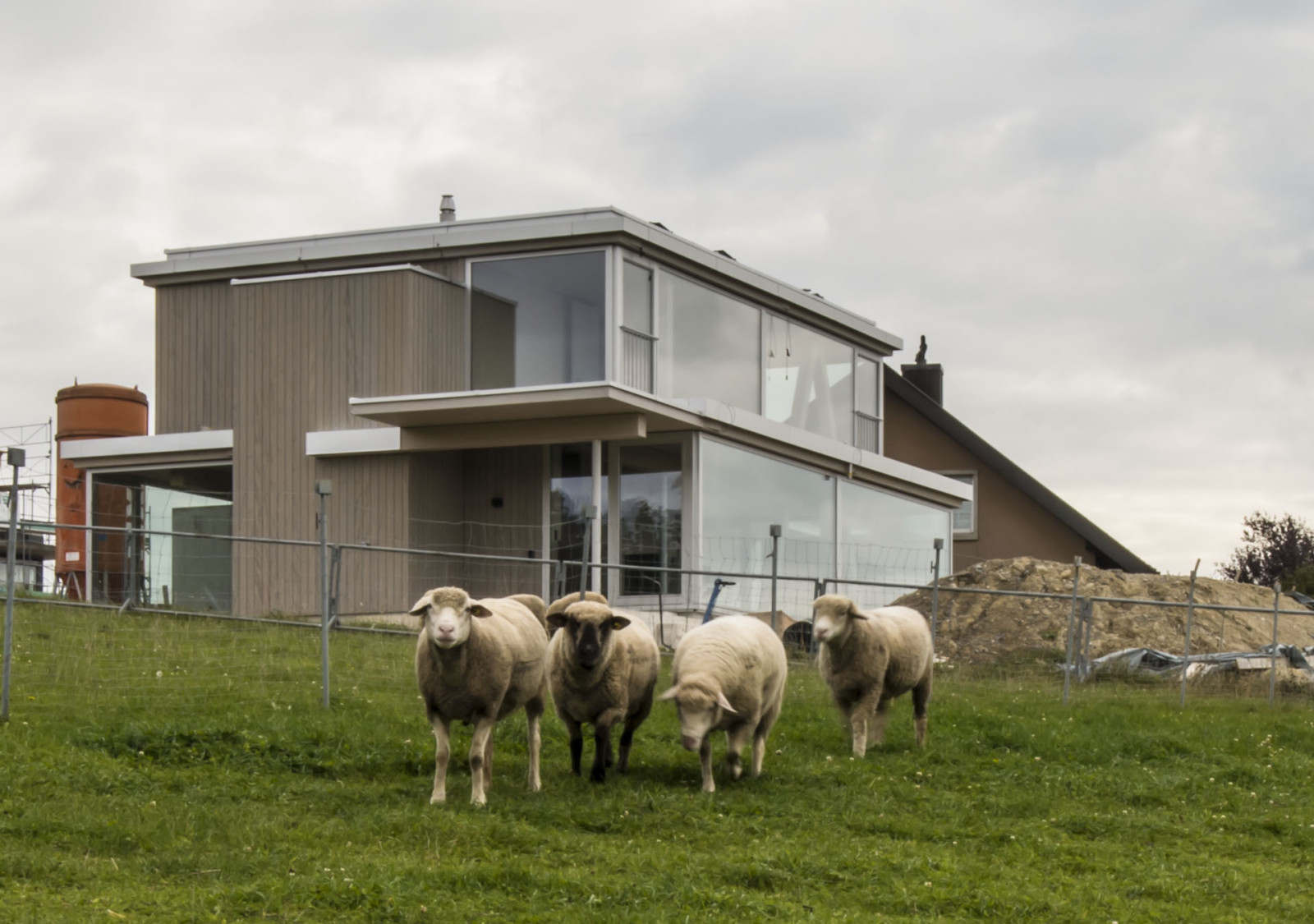 Ansicht Gebäude mit 4 Schafen im Vordergrund